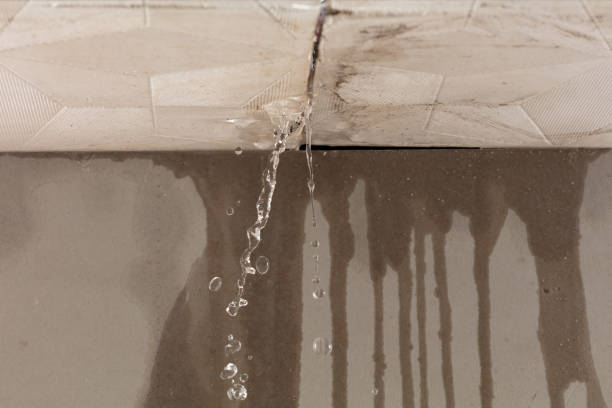 Professional Water Damage Repair technician working in North Plains, OR